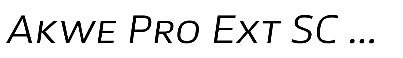 Akwe Pro Ext SC Regular Italic